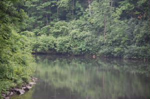 AAphoto4.JPG