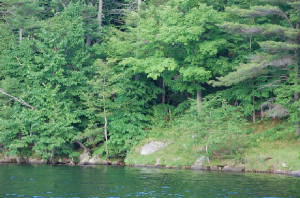 AAphoto6.JPG