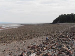 B272.JPG