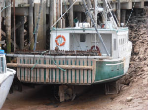 B381.JPG