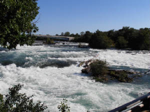 C01.JPG