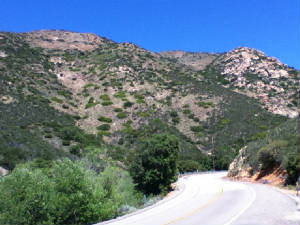 IMG_0138.jpg