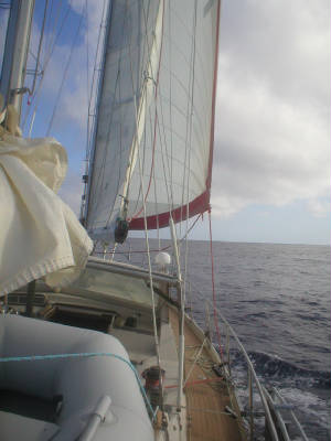 P1010032.JPG