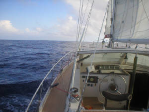 P1010034.JPG
