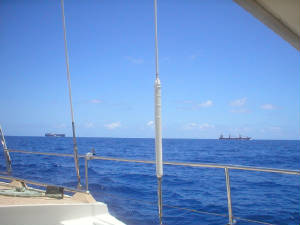 P1010050.JPG