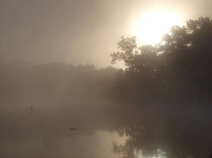 aphoto2.JPG