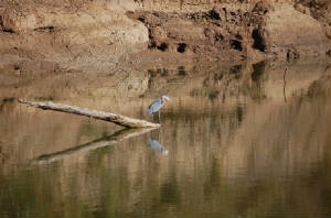 aphoto8.JPG