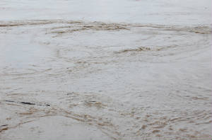 aqphoto7.JPG
