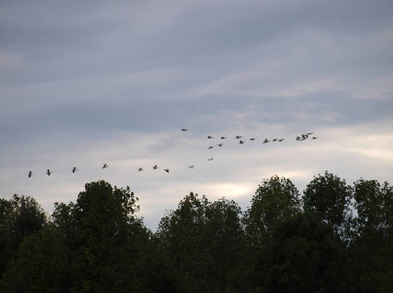 azphoto2.JPG